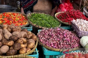 Harga Cabai Rawit Rp75.150 Per Kg, Telur Ayam Rp30.350 Per Kg
