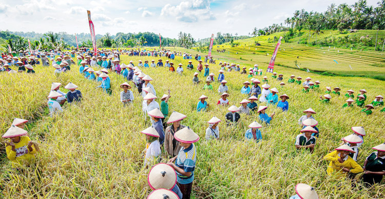 Gambar untuk berita: Program "Seeds of Change" Dukung Mahasiswa dan Startup Berinovasi Kembangkan Wisata Berkelanjutan 