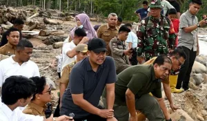 Pemprov Sumut Tingkatkan Sinergi untuk Menindak Aktivitas Tambang Tanpa Izin