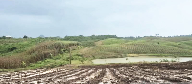 Waspada El Nino, BMKG Ingatkan Warga Jabar dalam Sepekan ...