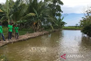 Tinggalkan Cara Lama, Petambak Penajam Diajak Beralih ke Polikultur