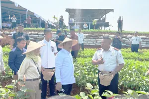 Hasil Panen Raya Warga Binaan Lapas Mampu Pasok 50 Persen Kebutuhan Bahan Makanan