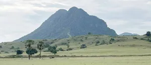 Mausui, Keindahan ala Afrik...