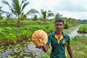 Sri Lanka Minta Petani Mula...