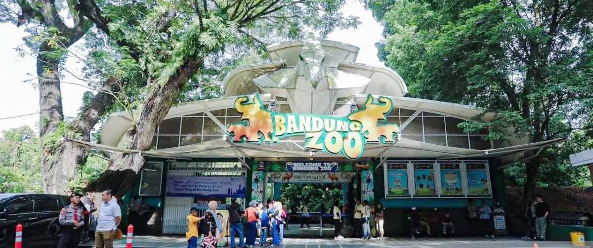 Tok! Faunaland Resmi Jadi Pengelola Baru Bandung Zoo, Pemkot Wajibkan Bayar Kontribusi Rp4,3 Miliar per Tahun