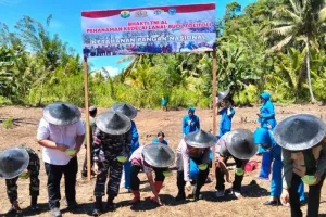 Dukung Ketahanan Pangan, Buol dan Lanal Tolitoli Kembangkan Budidaya Kedelai
