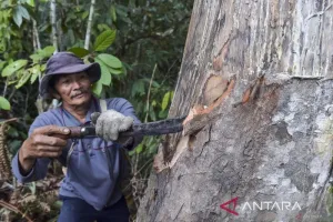 Kemenhut: Perhutanan Sosial Bukan Sekadar Program, Tapi Kunci Keadilan Ekonomi