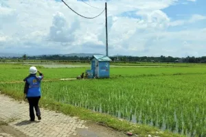 Tak Lagi Bergantung BBM, 20 Persen Pertanian Sidrap Pakai Listrik untuk Irigasi