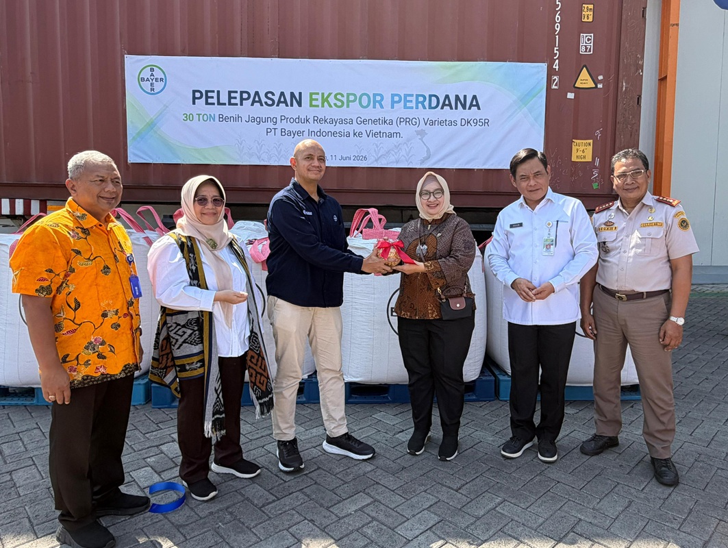 Bayer Ekspor Perdana 30 Ton Benih Jagung Bioteknologi ke ...