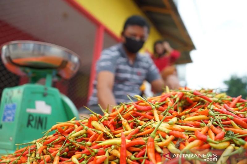 Harga Cabai Rawit Rp74.550/Kg, Telur Ayam Rp30.100/Kg