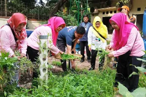 Urban Farming di Halaman Ka...