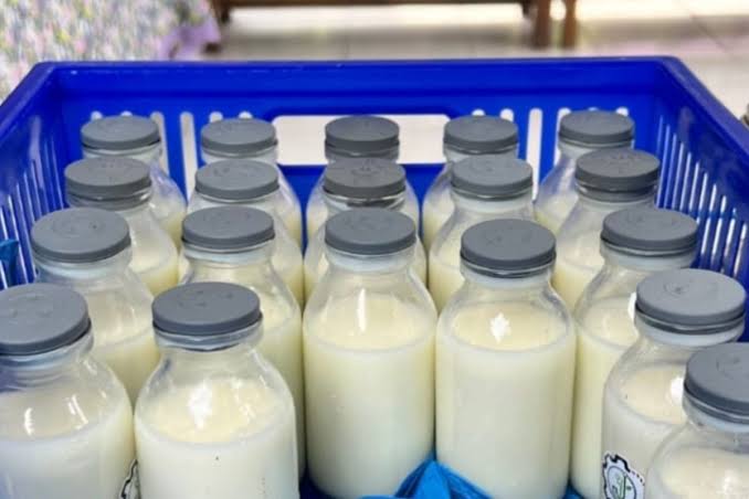 MBG Dorong Konsumsi Susu, Kemenperin: Limbah Kemasan Harus Dikelola Biar Tidak Cemari Lingkungan 