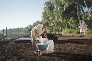 Desa Les di Bali Kembangkan...