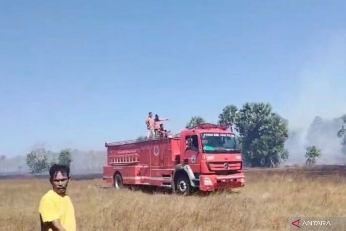 Kebakaran 20 Hektare Lahan Kering di Sabu Raijua NTT Didu...