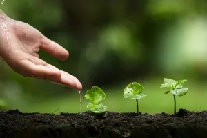 Tertinggal Target Emisi, RI Terancam Kehilangan Peluang Investasi Hijau Global
