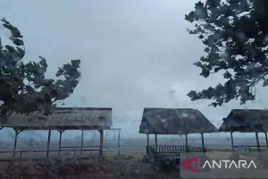 BMKG Prakirakan Hujan Bakal Mengguyur Sebagian Besar Wilayah Indonesia pada Selasa