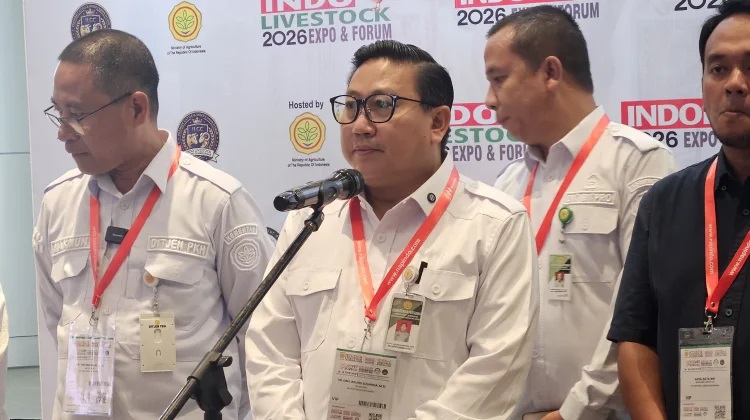 Kementan akan Kurangi Jumlah Impor Domba dan Kambing