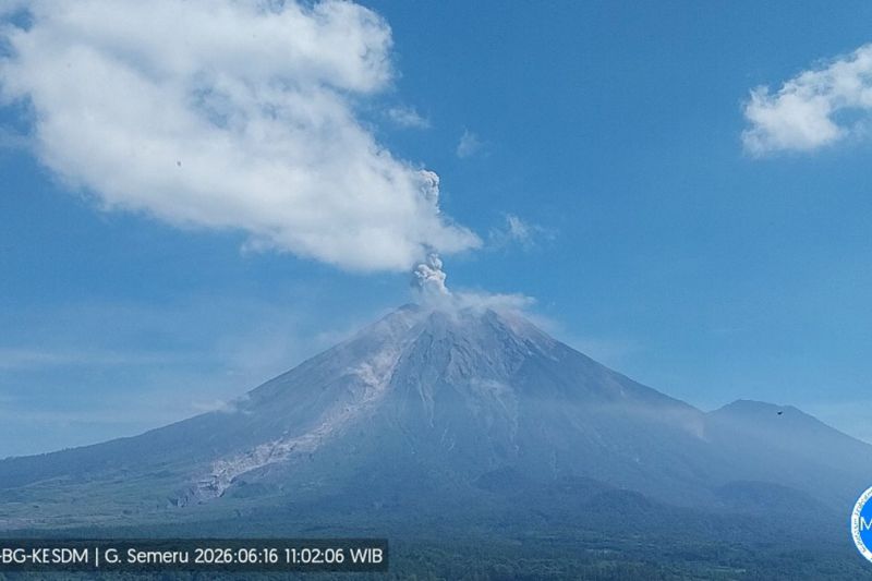 Semeru Tujuh Kali Erupsi dengan Tinggi Letusan hingga 1.000 Meter
