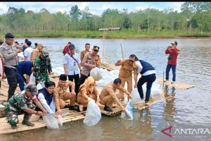 FAO Ungkap Dominasi Asia dalam Lonjakan Produksi Akuatik Global