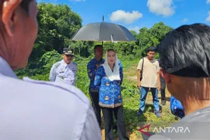 Pemkab Natuna Genjot Normalisasi Sungai, Kurangi Risiko Banjir Saat Musim Hujan.