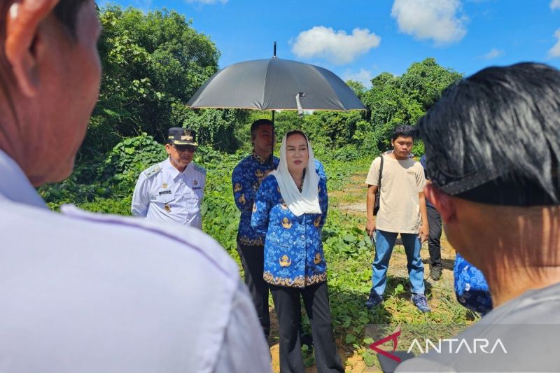 Pemkab Natuna Genjot Normalisasi Sungai, Kurangi Risiko B...