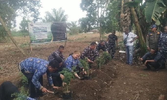270 Hektare Lahan PTPN I di Deli Serdang Diubah Jadi Lumbung Pangan Nasional
