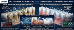 Hanya 27,8 Persen Masyarakat Sikat Gigi Sebelum Tidur Sebabkan Risiko Biaya Perawatan Gigi Meningkat