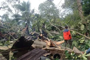 Membersihkan Pohon Tumbang yang Menimpa Rumah Warga