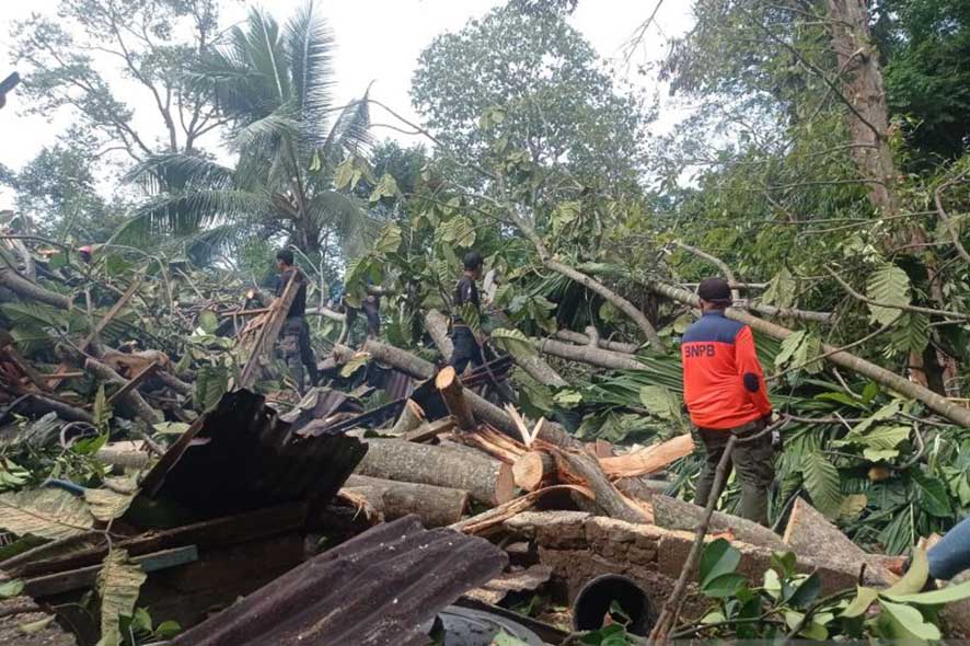 Membersihkan Pohon Tumbang yang Menimpa Rumah Warga