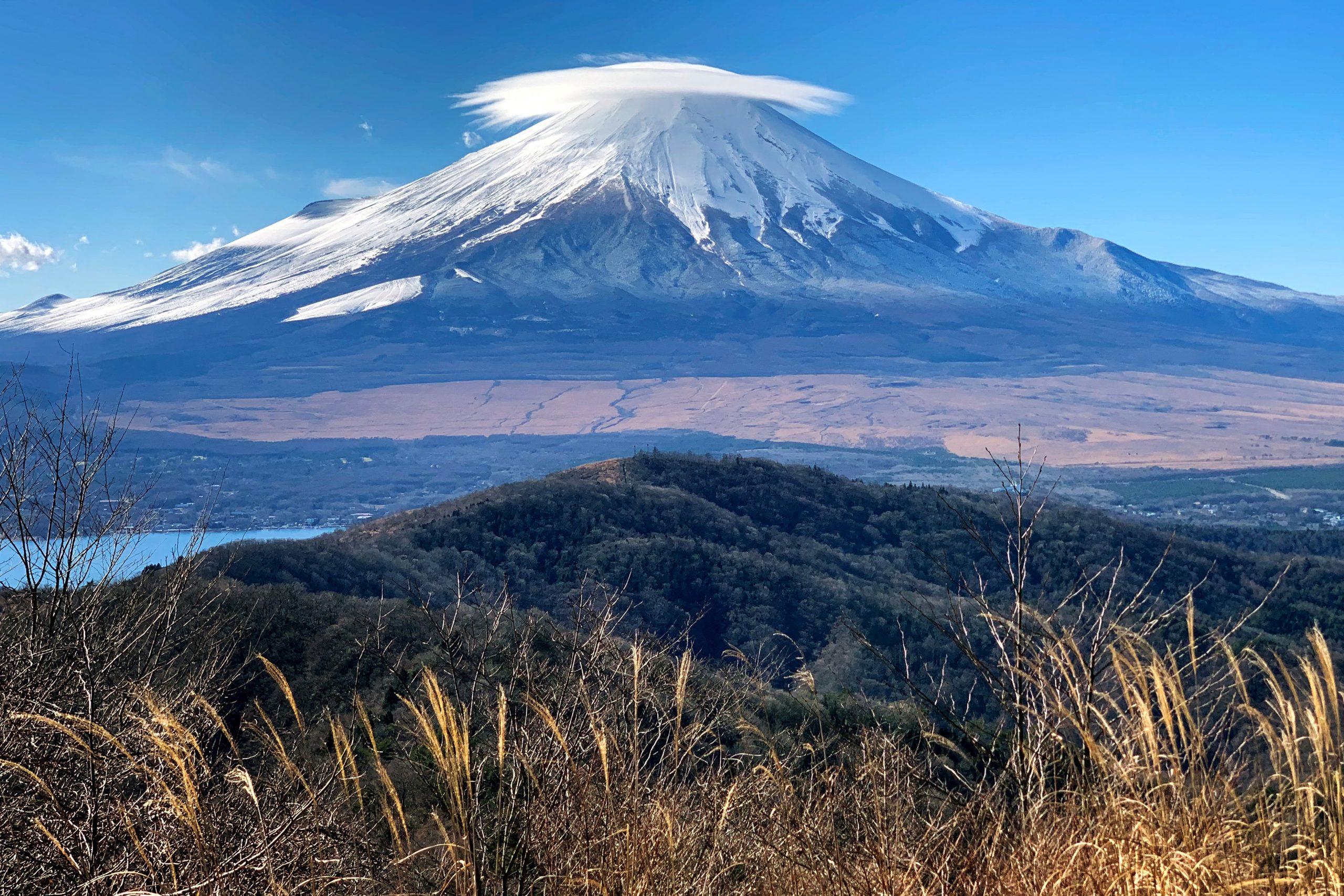 Pegunungan Jepang Mengganas, Laporan Korban Terjebak Meni...