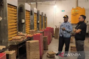 Pemerintah Kabupaten Nabire Atur Pasokan dari Luar untuk Stabilkan Harga Telur Lokal