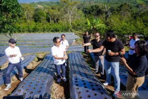 Agro Techno Park Badung Digenjot, Dari Lahan Jadi Sumber Cuan Inovatif