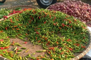 Harga Pangan: Harga Komoditas Cabai di Lebak Turun
