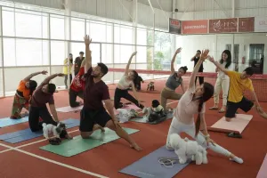 JIPS Digelar Lagi! Ada Yoga Bersama Anjing hingga Mini Zoo Irfan Hakim, Catat Tanggalnya! 