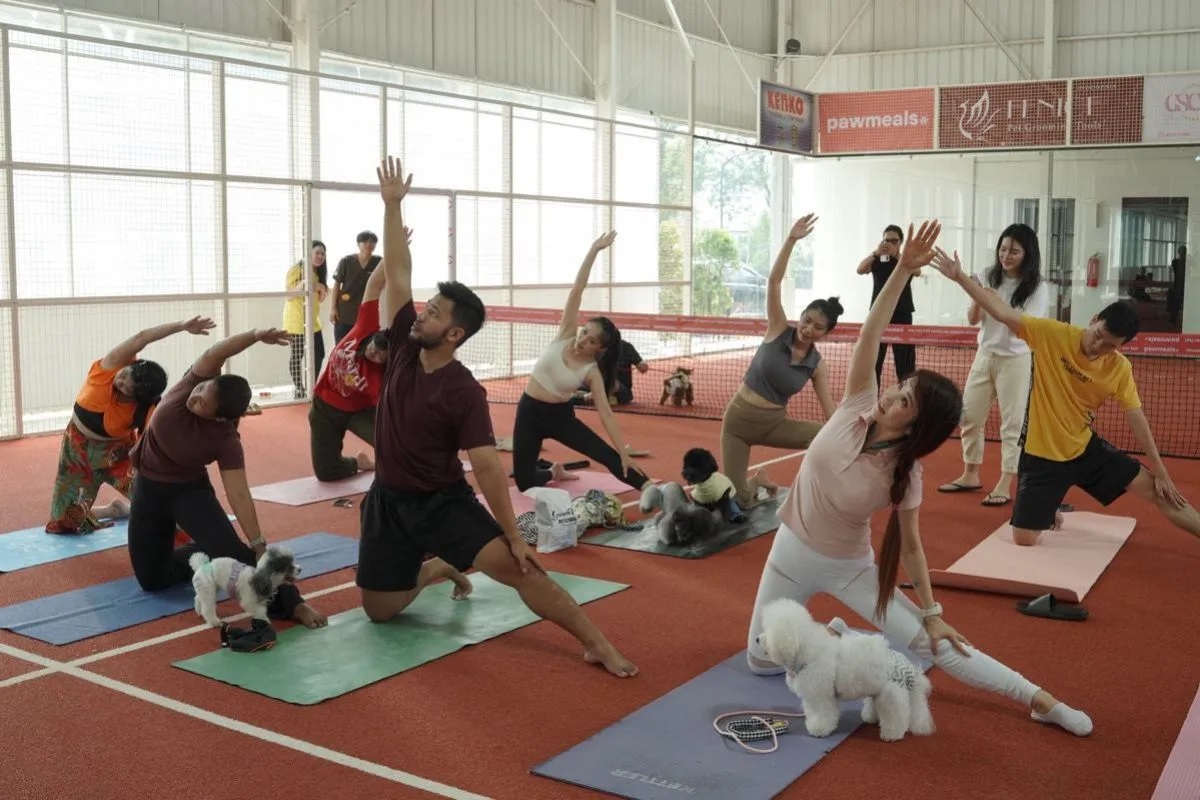 JIPS Digelar Lagi! Ada Yoga Bersama Anjing hingga Mini Zo...