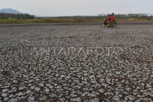 Musim Kemarau 2026 Diprediksi Lebih Panjang, BPBD Madiun Petakan Daerah Rawan Kekeringan