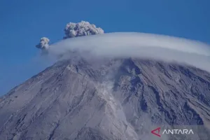 Pemandu dan Porter di Gunung Semeru Ditangkap