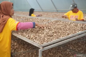 Produk Herbal RI Laris Manis di Pasar Internasional, Deal Rp2,5 Miliar Tercapai