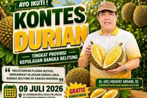Bangka Belitung Gelar Kontes Durian Lokal 2026, Dorong Varietas Unggul Jadi Primadona Nasional