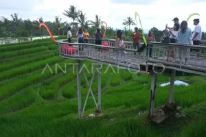 Sinergi Olahraga dan Pariwisata, Wabup Tabanan Kembangkan Event Lari di Berbagai Destinasi