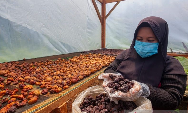 UNAND Kaji Sistem Parak Minangkabau, Solusi Kearifan Lokal Hadapi Perubahan Iklim Global