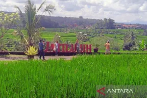 FAO Soroti Tri Hita Karana, Jadi Model Transformasi Pertanian Berkelanjutan