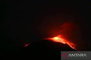 Gunung Ile Lewotolok Erupsi dengan Semburkan Abu Setinggi 600 Meter