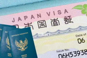Jepang Naikkan Biaya Visa hingga 5 Kali Lipat Mulai Juli 2026
