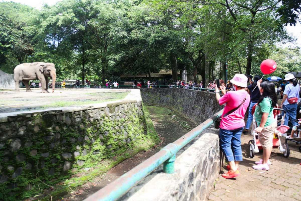 Rayakan HUT Jakarta, Warga Luar DKI Bisa Nikmati Objek Wisata dan Transportasi Umum Gratis!