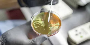 Terapi Cahaya dan Nanomater...