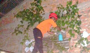 Resahkan Warga Jalan Swadaya, Sarang Tawon di Rumah Ini Terpaksa Dievakuasi Pasukan Khusus BPBD