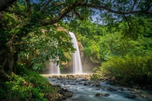 Wisatawan Tiongkok Catat Pertumbuhan Minat Tertinggi ke Indonesia pada Semester I 2026