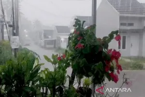 BNPB Imbau Kesiapsiagaan atas Peringatan Cuaca Ekstrem di 26 Provinsi