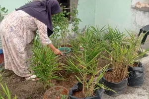 Dari Pekarangan ke Harapan, Petani Wanita Lebak Menginspirasi Generasi Muda